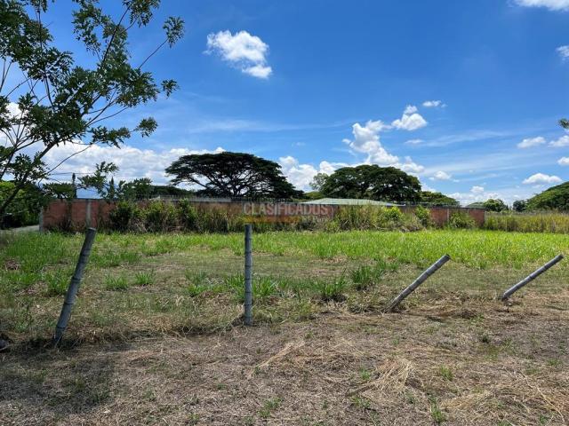 Lotes, Venta en Palmira