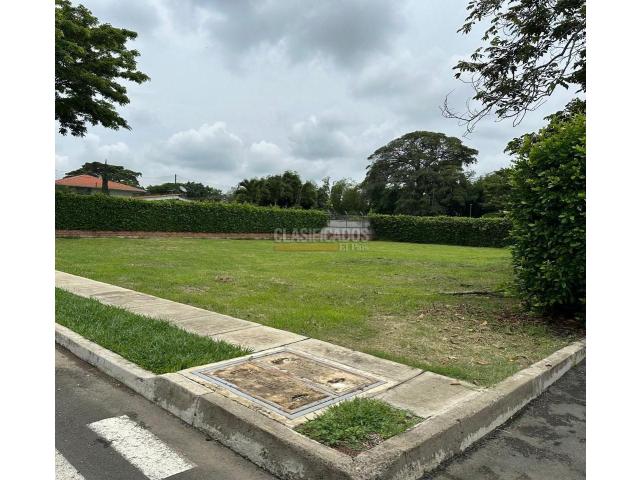Lotes, Venta en Palmira
