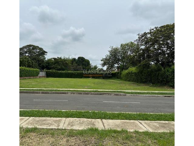 Lotes, Venta en Palmira