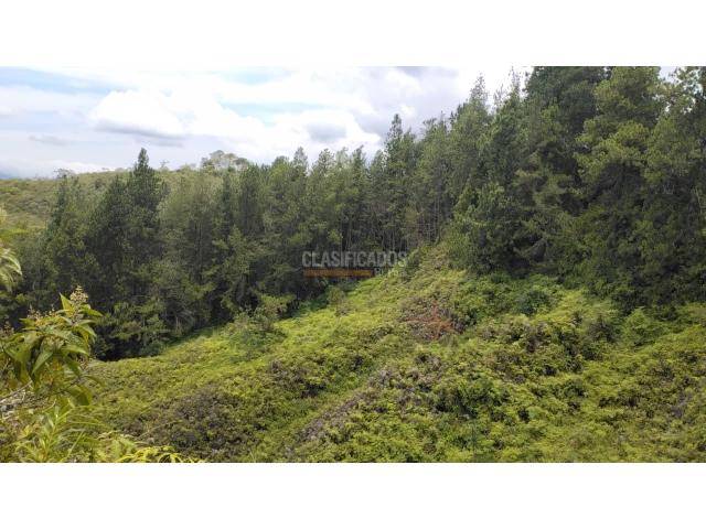 Lotes, Venta en Dagua