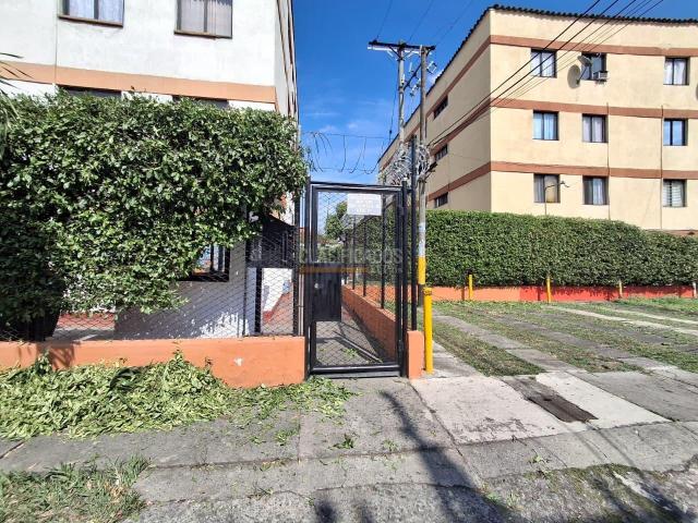 Apartamentos, Alquiler en Colseguros