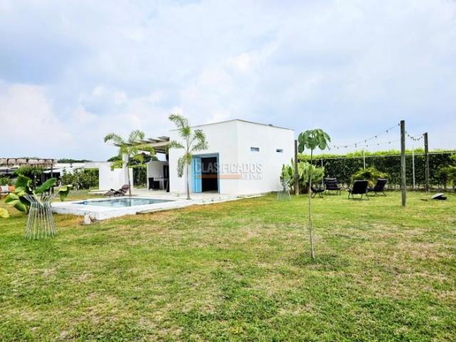 Lotes, Venta en Palmira