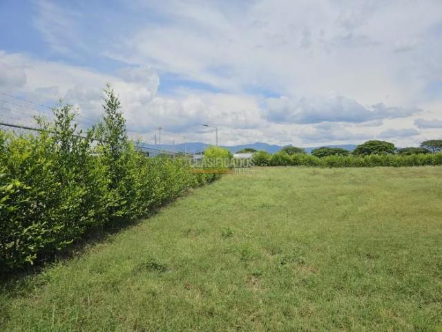 Lotes, Venta en Palmira
