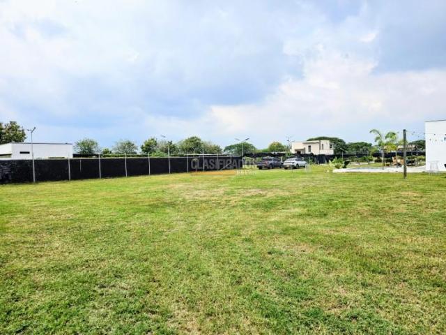 Lotes, Venta en Palmira