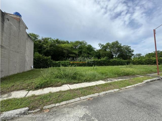 Lotes, Venta en Flandes