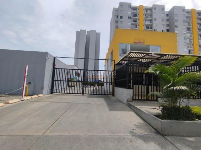 Apartamentos, Alquiler en Los Guayacanes