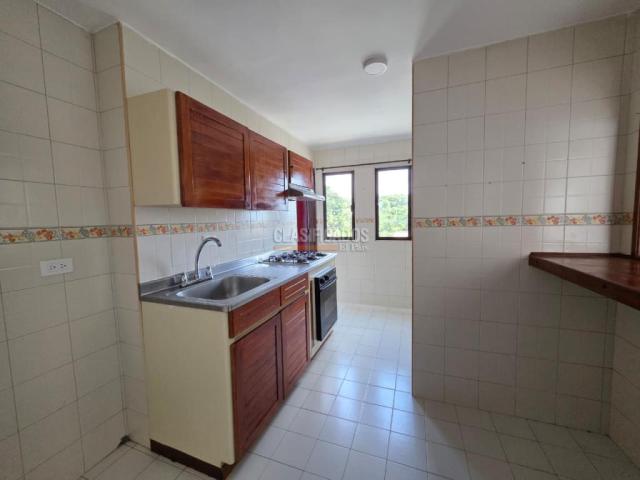 Apartamentos, Alquiler en Armenia