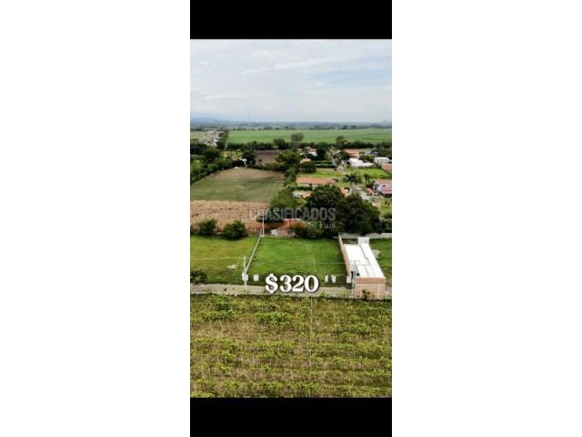 Lotes, Venta en Palmira