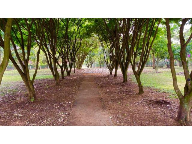 Apartamentos, Venta en Ciudad Jardín
