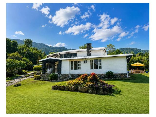 Casas, Alquiler en Dapa
