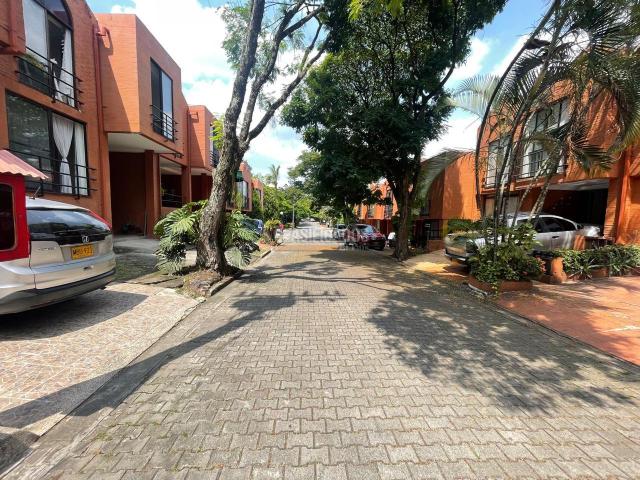 Apartamentos, Alquiler en Guadalupe