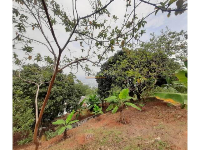 Casas, Venta en Bellavista