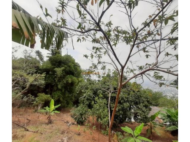 Casas, Venta en Bellavista