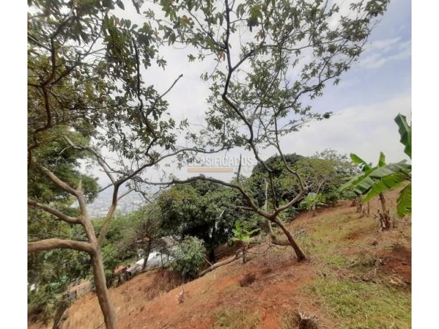 Casas, Venta en Bellavista