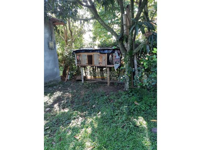 Fincas y Casas Campestres, Venta en Santander de Quilichao