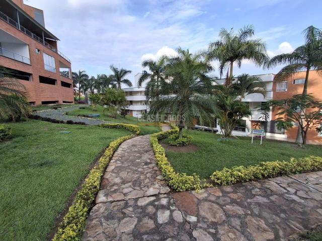 Apartamentos, Alquiler en Cristales