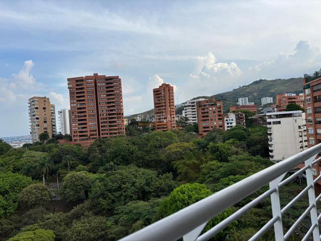 Apartamentos, Alquiler en Arboleda