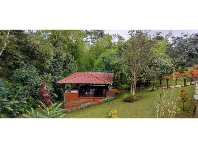 Fincas y Casas Campestres, Venta en Dagua