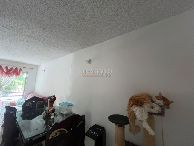 Apartamentos, Venta en Valle del Lili