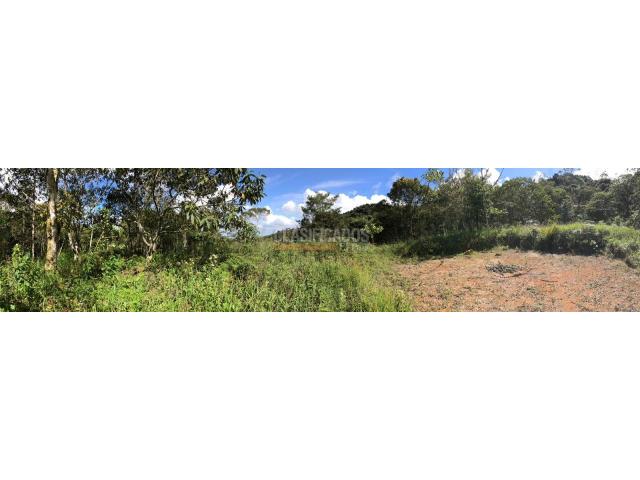 Lotes, Venta en Yumbo
