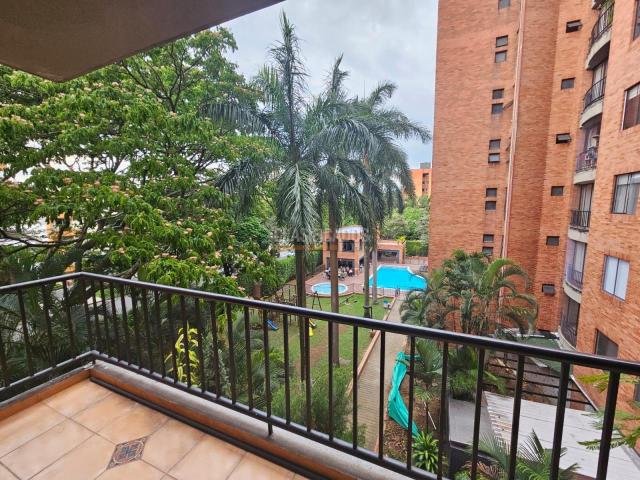 Apartamentos, Alquiler en El Ingenio
