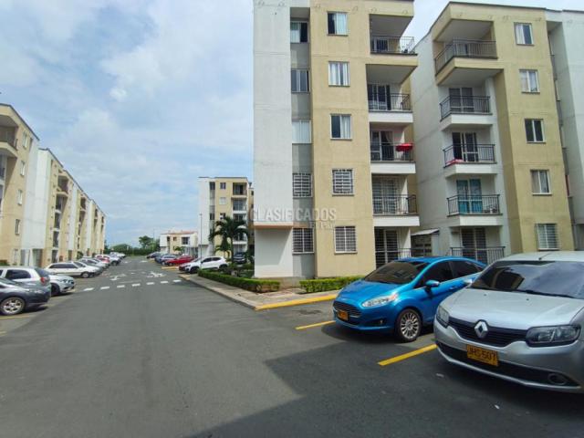 Apartamentos, Alquiler en Ciudad Pacifica