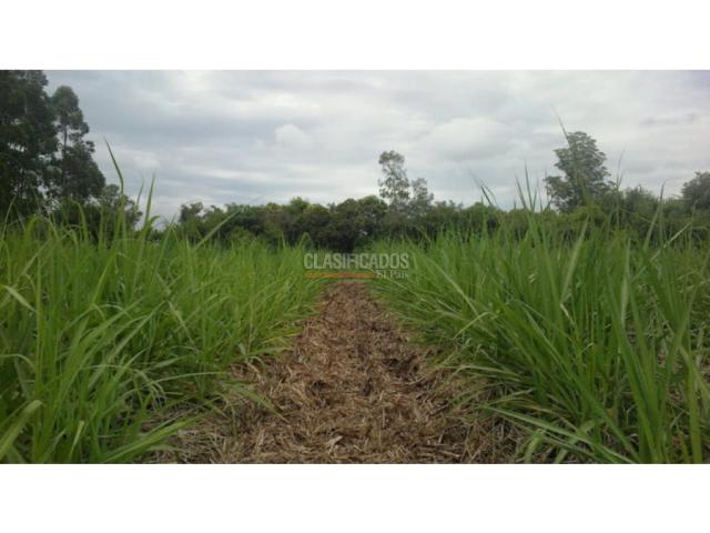 Lotes, Venta en Zarzal