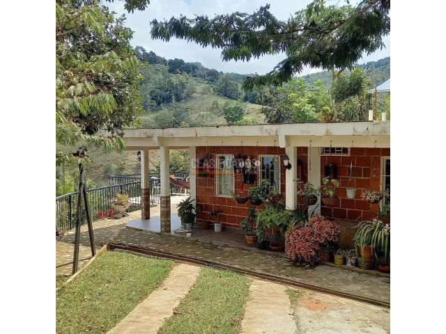 Fincas y Casas Campestres, Venta en Vijes