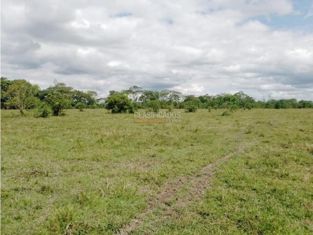 Lotes, Venta en Villavicencio