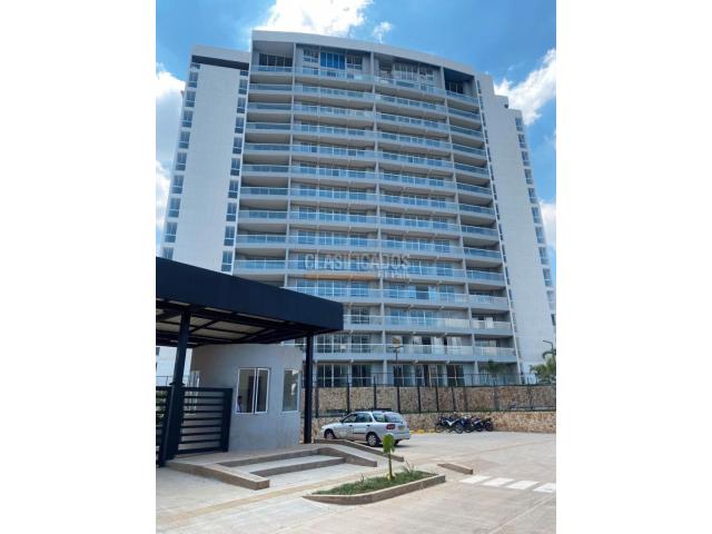 Apartamentos, Alquiler en Bellavista
