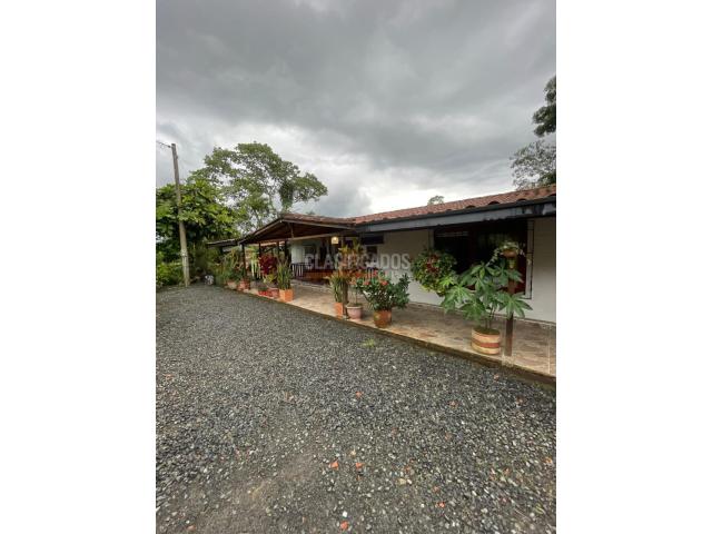 Fincas y Casas Campestres, Venta en Filandia