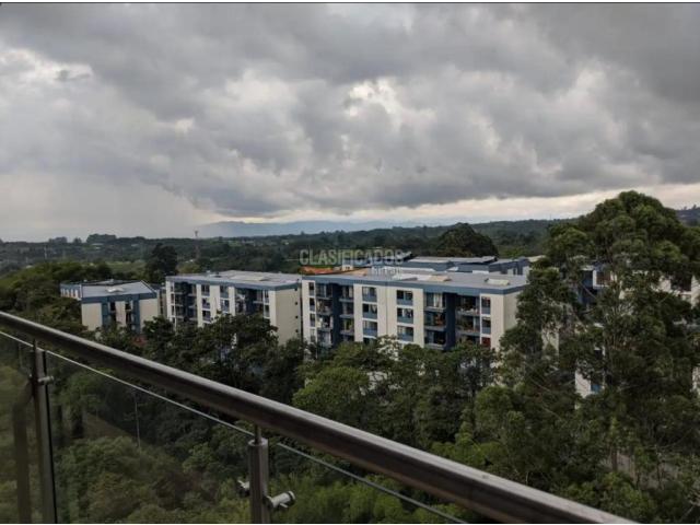 Apartamentos, Alquiler en Armenia