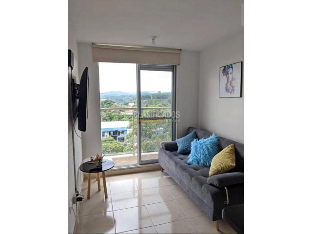 Apartamentos, Alquiler en Armenia