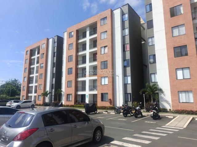 Apartamentos, Alquiler en Jamundí