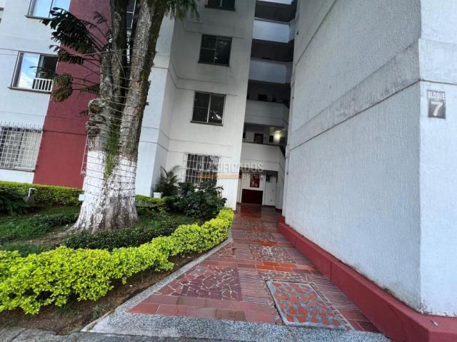 Apartamentos, Alquiler en Cuarto de Legua