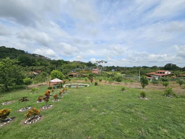 Fincas y Casas Campestres, Venta en Zarzal