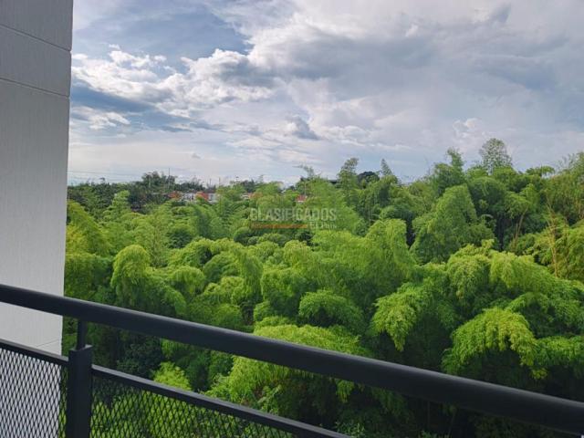 Apartamentos, Alquiler en Armenia