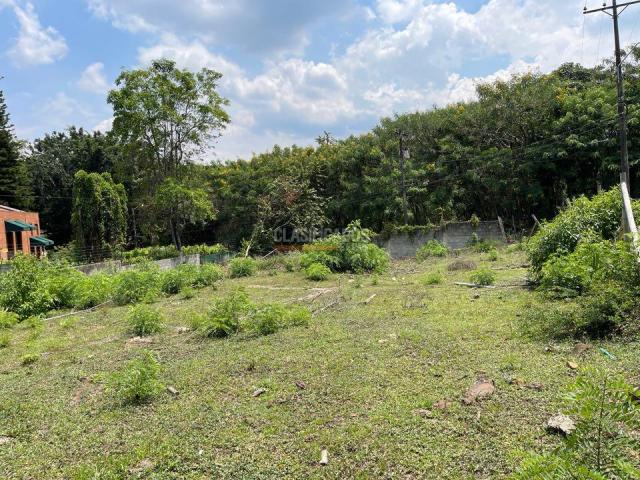 Lotes, Venta en Pance