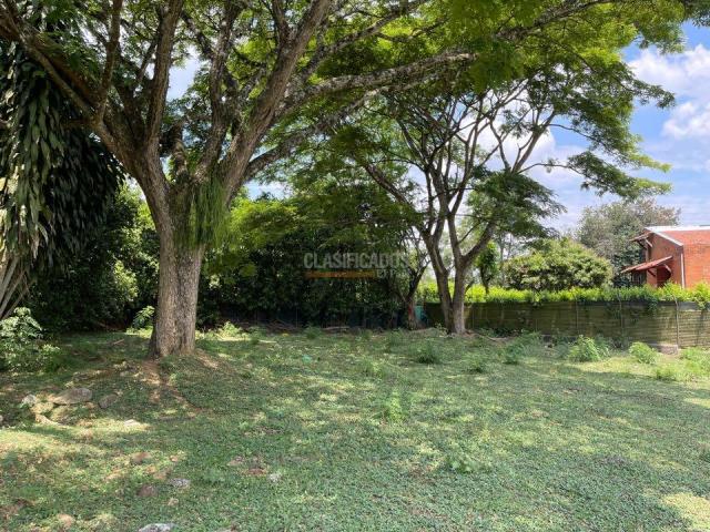 Lotes, Venta en Pance