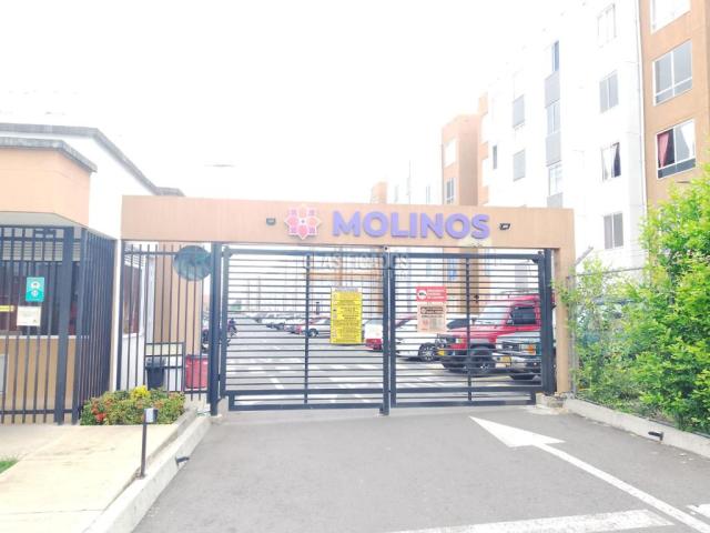 Apartamentos, Alquiler en Jamundí