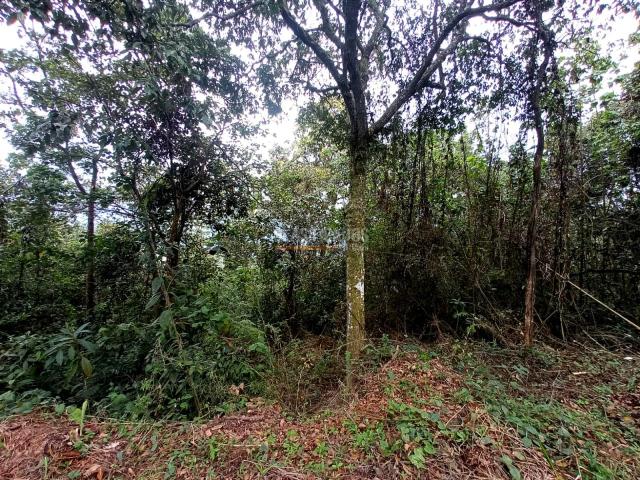 Lotes, Venta en Yumbo