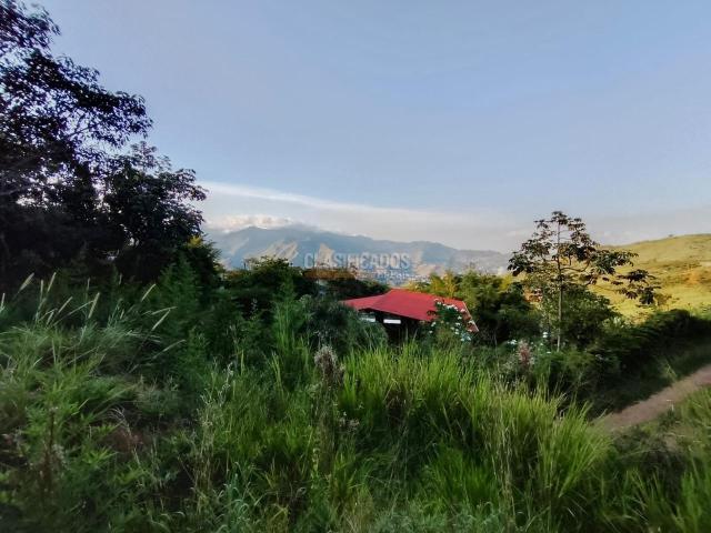 Lotes, Venta en Cristo Rey