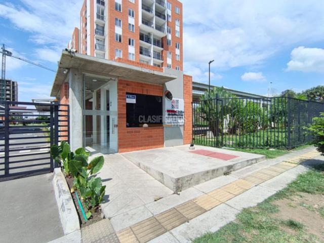 Apartamentos, Alquiler en Ciudad Pacifica
