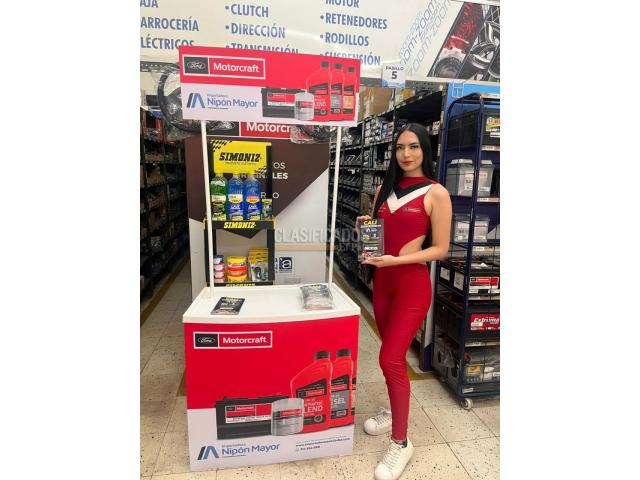 Modelos y Chicas de protocolo