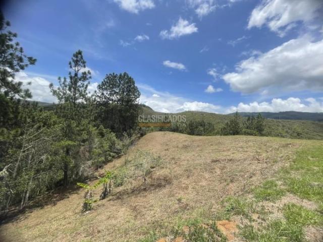 Lotes, Venta en Dagua