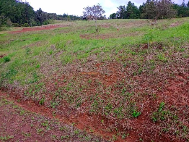 Lotes, Venta en Dagua
