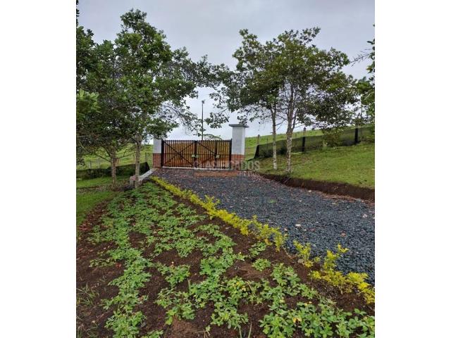 Lotes, Venta en Dagua