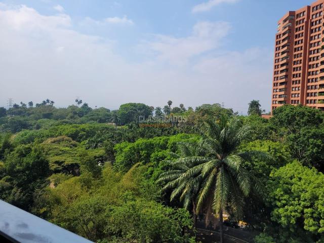 Apartamentos, Venta en Arboleda