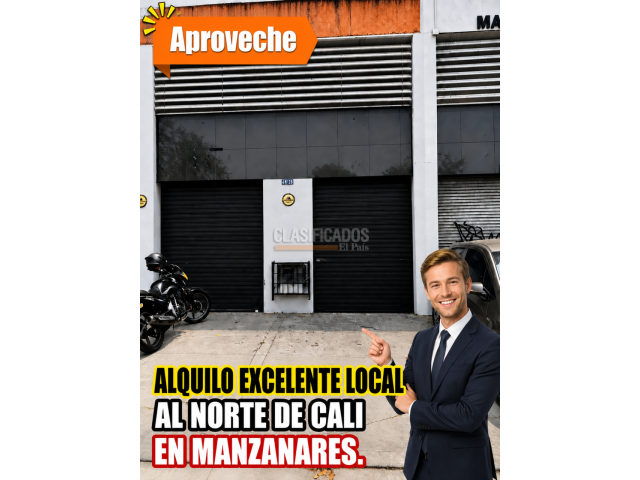 Locales y Bodegas, Alquiler en Manzanares