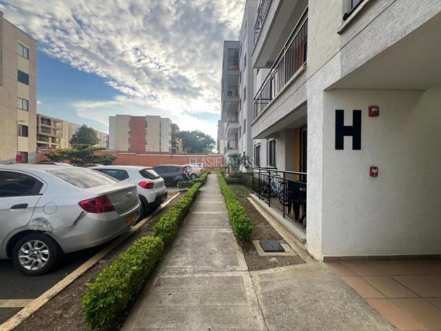 Apartamentos, Alquiler en Ciudad Pacifica